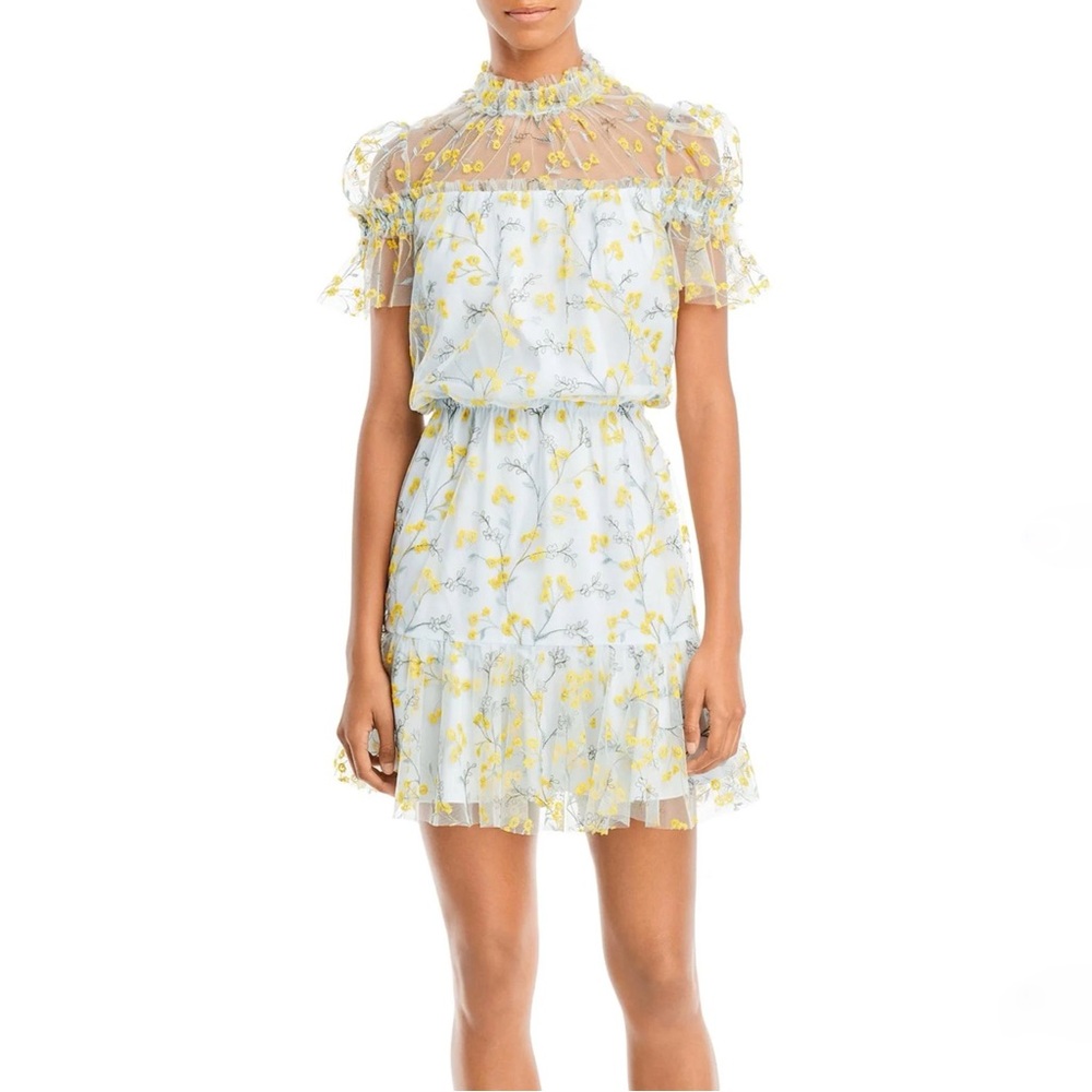 ML Monique Lhuillier Waldorf Embroidered Mesh Floral Mini Dress in Blue Size 4